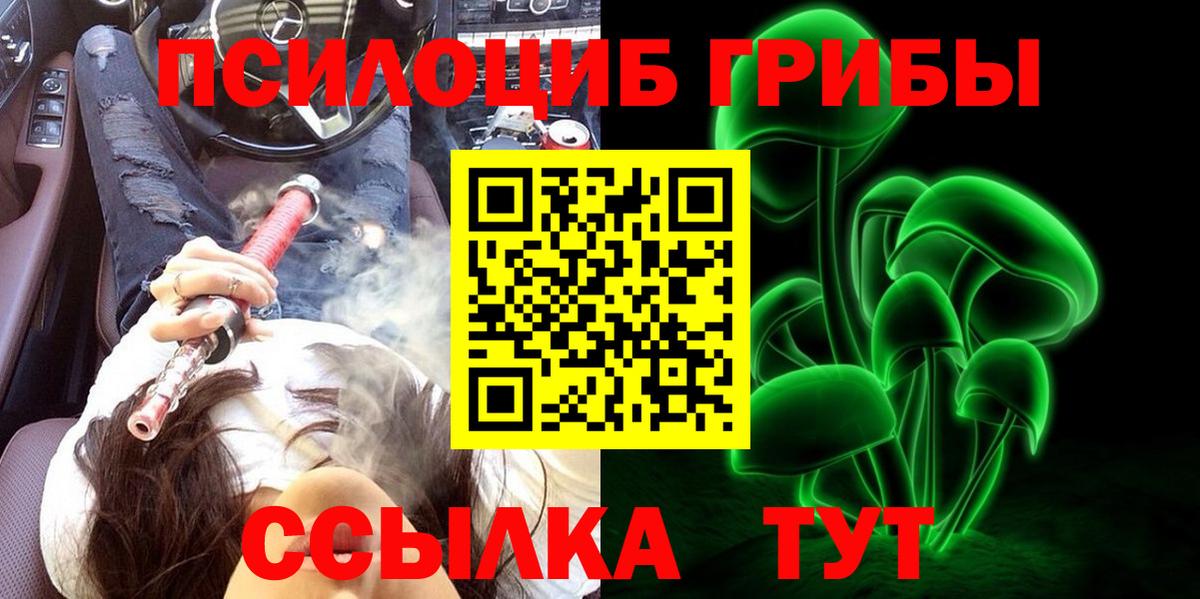 Галлюциногенные грибы прущие грибы Кохма